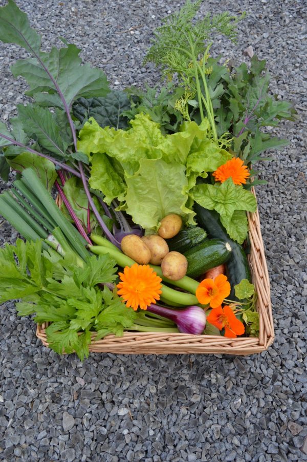 Seasonal Veg Box