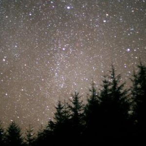 Look up! Stars, Comets and Meteor Showers